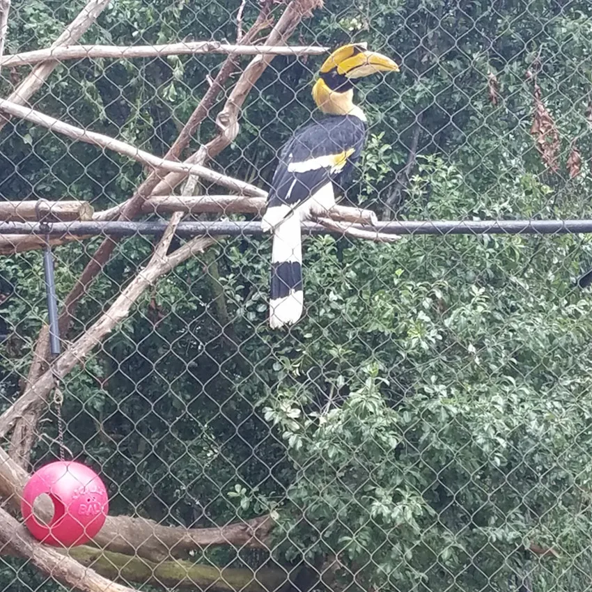 Забор для попугаев/сетка вольера плетеная веревочная сетка/ручная работа из нержавеющей стали Плетеный Алмаз 7x7 7x19 1 2-3 2 мм 20-200