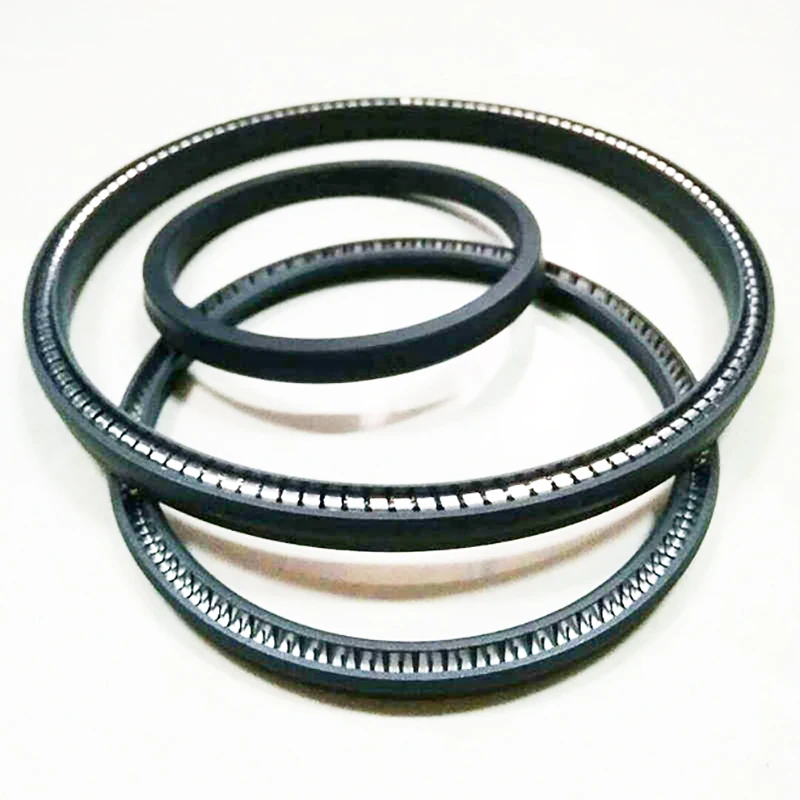 Rotary Shaft Seal Energized PTFE Spring Energized Seals Standard Size from Factory