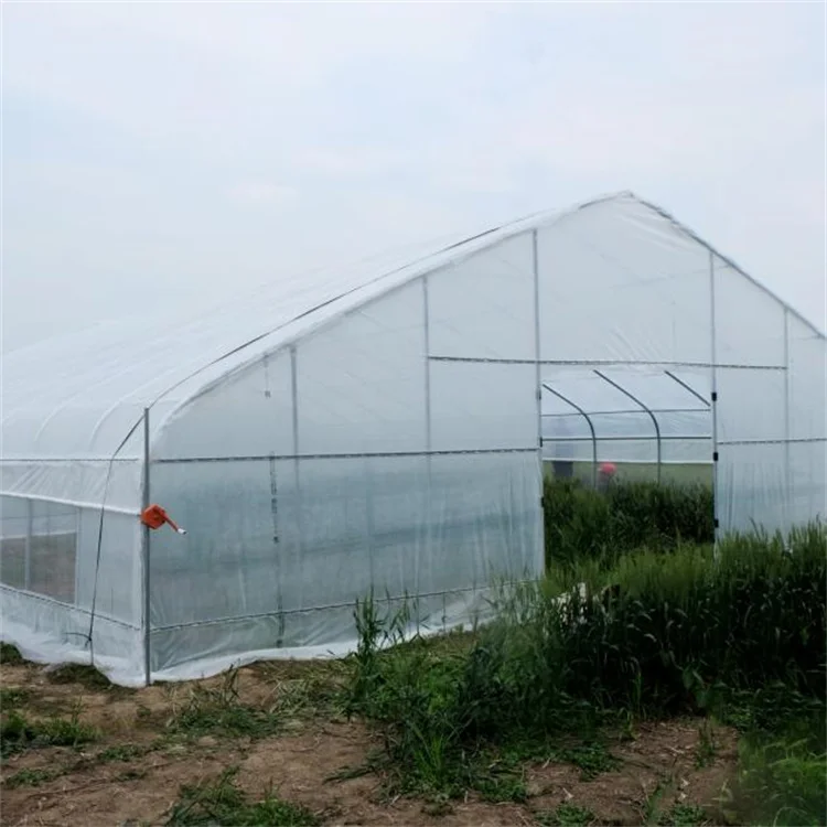 Baolida invernadero size 26ft 100ft plastic PE film high arch tunnel tomato greenhouse