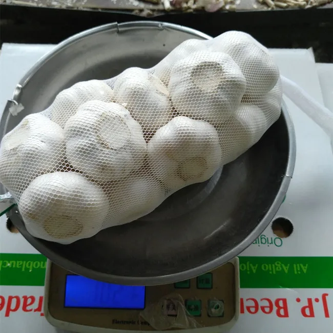 4.5cm 5.0cm 5.5cm 6.0cm Chinese Fresh Garlic Dried China Pure White Normal White Vegetables Garlic Small Packing For Export