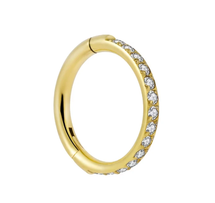 G23 titanium fine carving hinged segment clicker septum nose ring side inlay 15 white zircon PVD body piercing jewelry