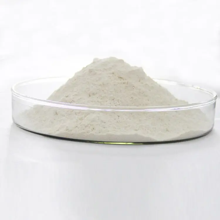 Allicin powder  Calcium carbonate powder carrier feed grade garlic extract allicin powder 25%