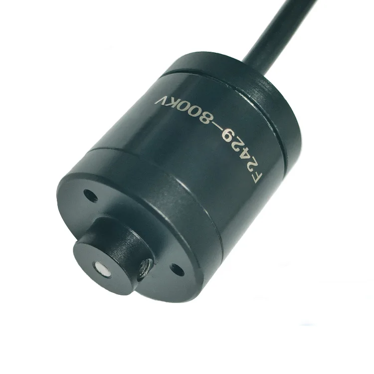 F2429 800 кВ IP67 12 В 24 водонепроницаемый бесщеточный подводный двигатель постоянного тока