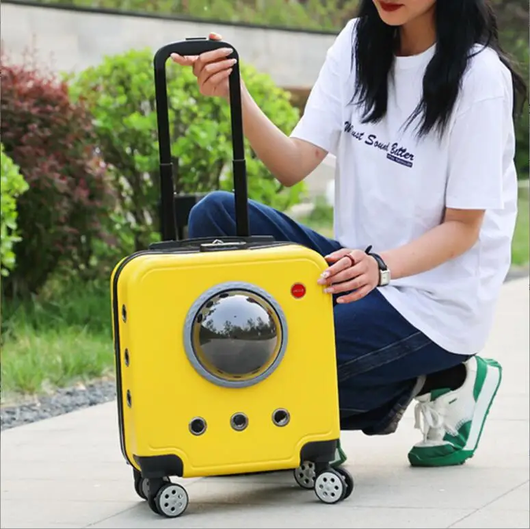 Hot Selling Plush Backpack Collar Bags For Cats Airline Approved Pet Carrier Dog Cat Travel Bag