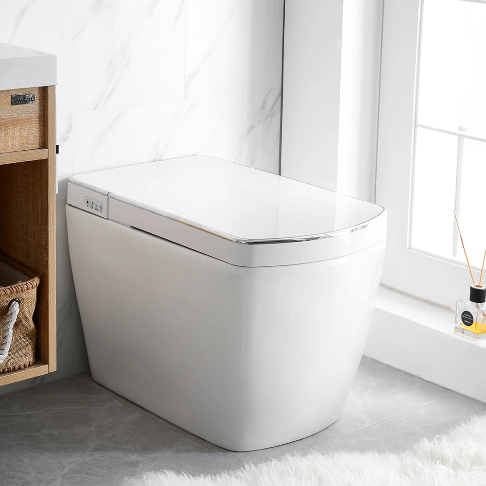 Contemporary design bathroom toilet bidet water