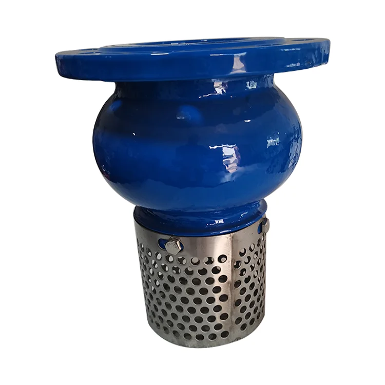 BS5153 DN80 GGG50 EN1092-2 PN10 PN16 фильтр экран 3-дюймовый обратный клапан Ruixin ножной клапан