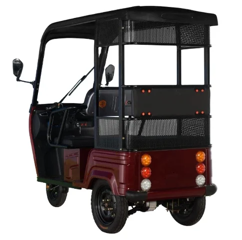 Leisure Electric Tricycles with roof for elderly 60V 800W