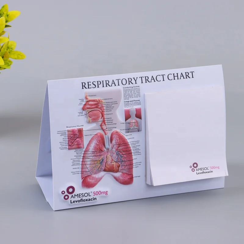 3D embossed Medical PVC Wall Chart