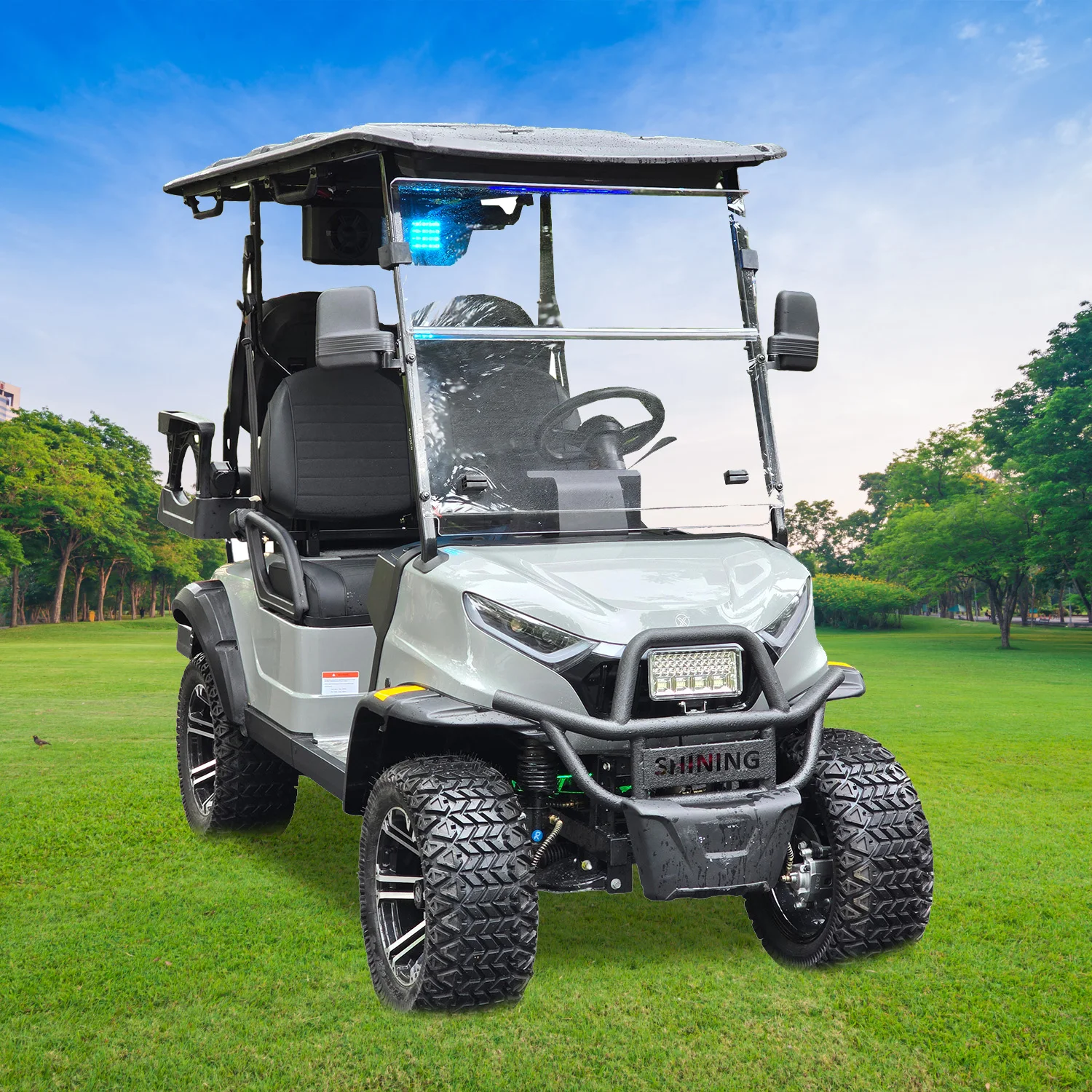 Shining brand 48v  electric bag golf cart battery electric lithium battery 4 seater golf cart
