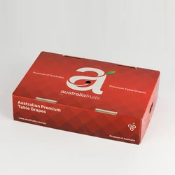 PE Box Low Price Customized Anti-static PE Plastic Storage Box  Wax coated cardboard box for fruit and vegetable packaging