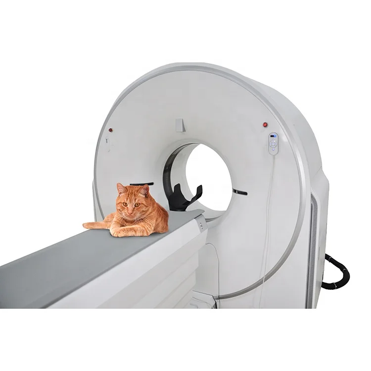 Ysenmed VET Radiology Equipment medical Animal ct-scan-machine Pet X Ray CT Scan Machine 16 32 Slice Veterinary ct-scan medical