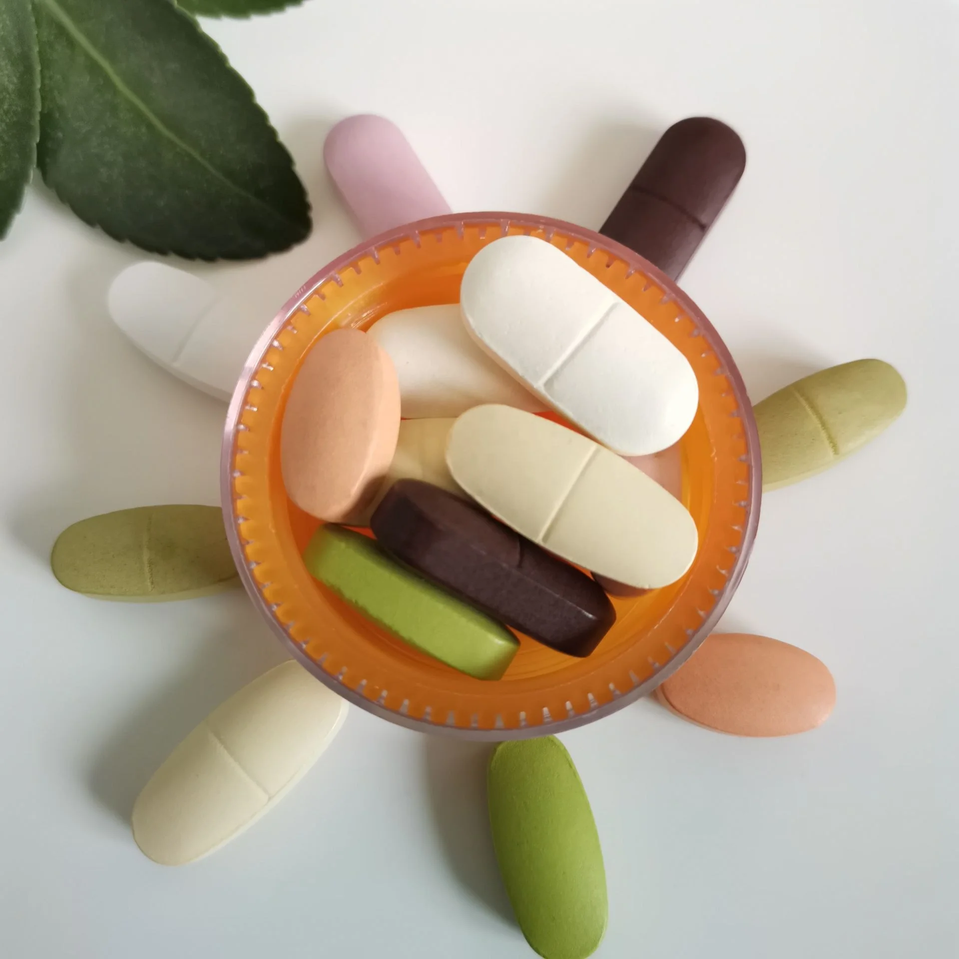 Private label bcaa powder capsules health care supplement for sports