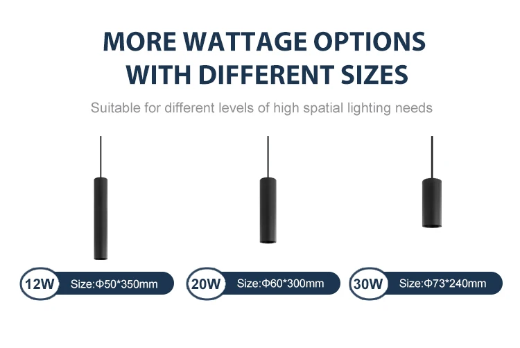 Pendant Light 8795  01.jpg