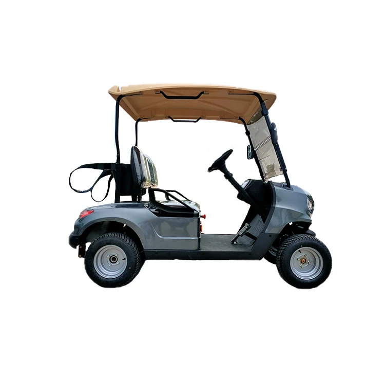 30km/h two-seat small golf carts Electric four-wheeled sightseeing car