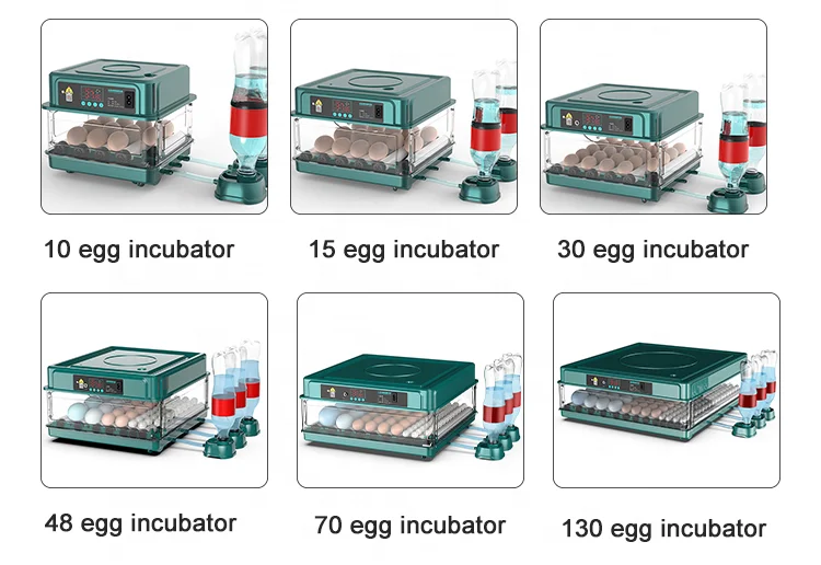 70 Egg Capacity Automatic Water Supply Egg Incubators Hatching Chicken for sale