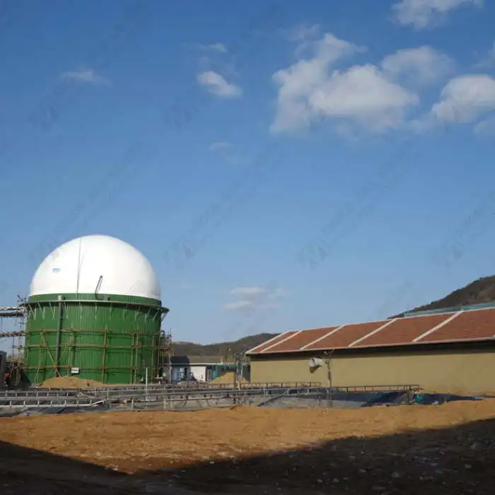 Biogas Digester Roof Balloon