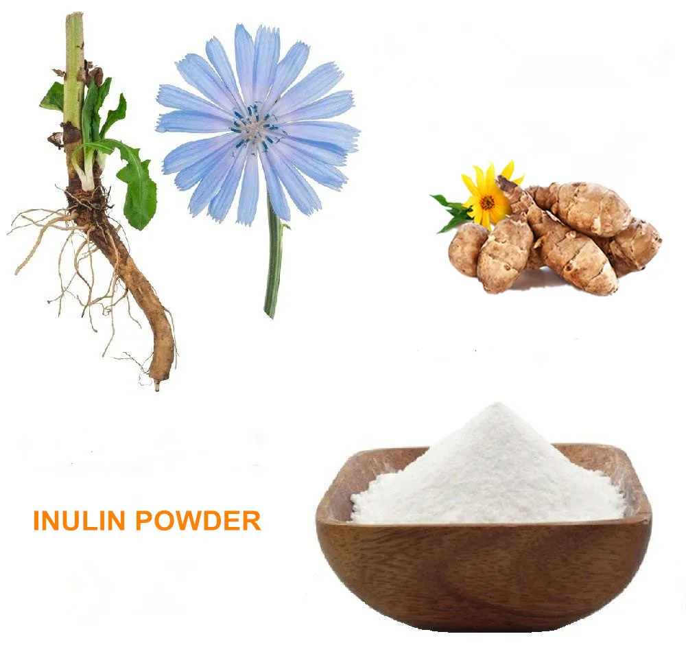 Wholesale High Quality Natural Inulin syrup, chicory root extract inulin ,Bulk organic Inulin Powder with ISO, KOSHER ,HACCP