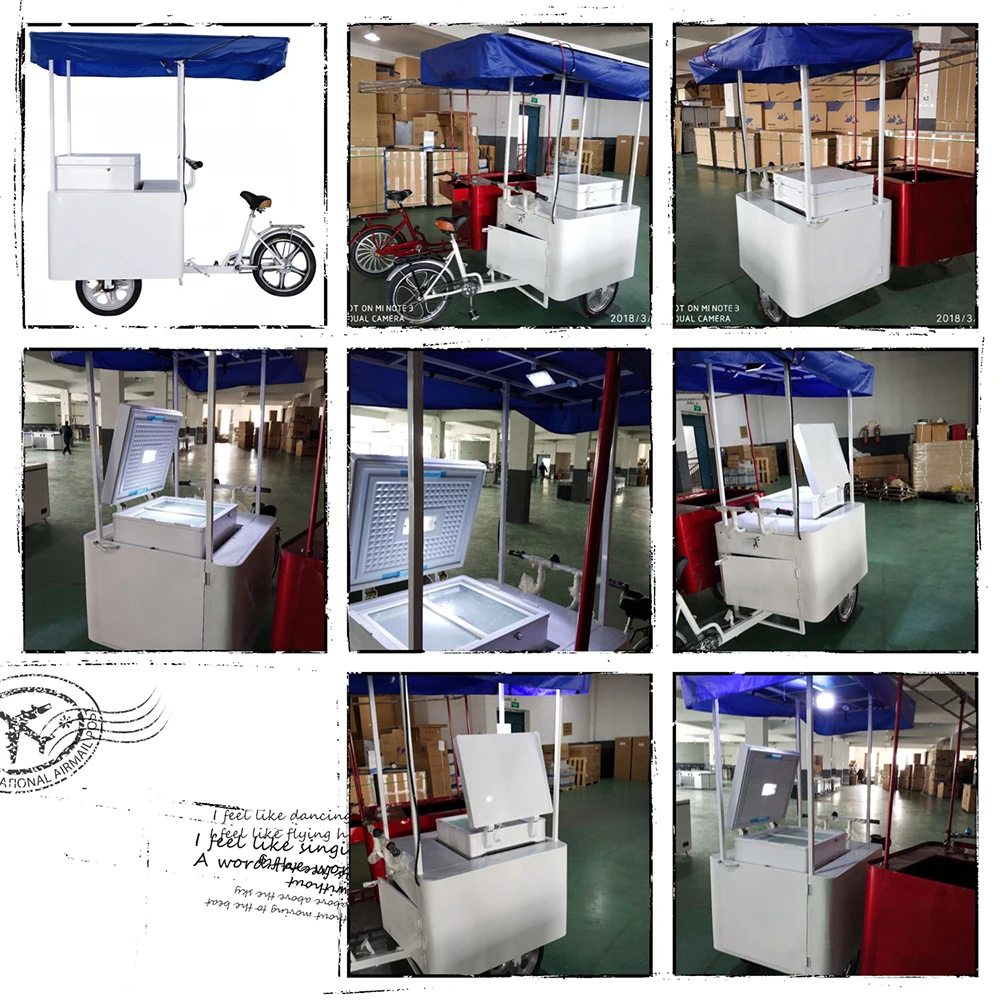 Popular style Ice cream tricycle with three wheels  108 litres freezer solar powered good looking and good quality