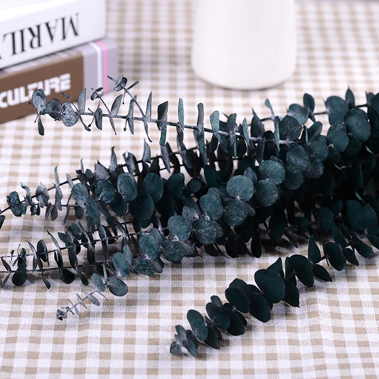 Preserved Fresh Eucalyptus Branches Dried Artificial Eucalyptus Stems for Wedding Home Decor