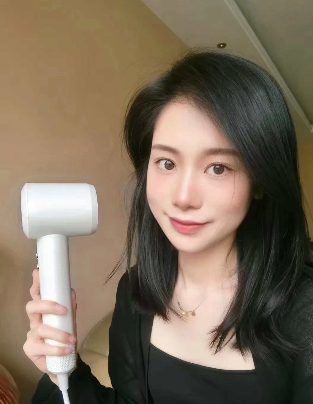 High Speed Air Hair Blow Dryer Professional Salon Hotel Electric Battery Pet Hair Dryer Ionic Machine Hair Blower For Men Woman