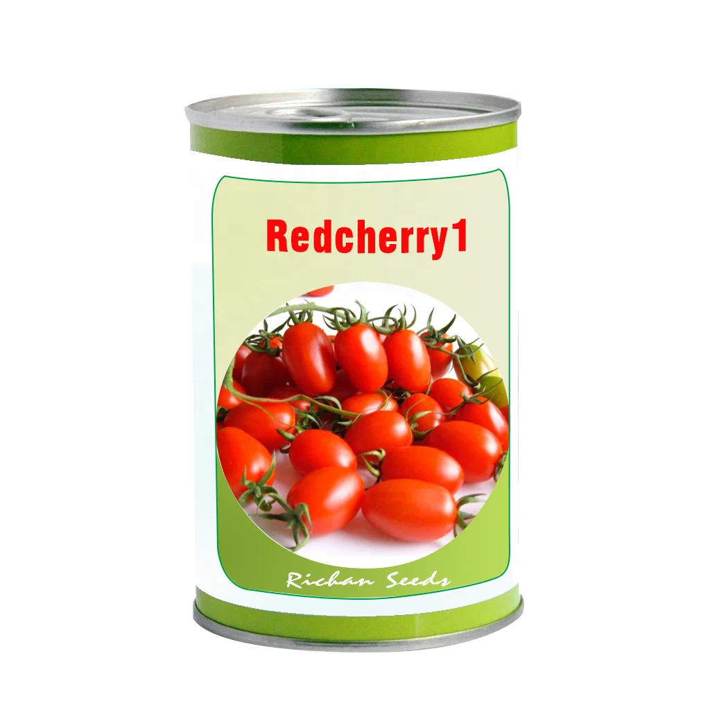 
F1 hybrid tomato seeds determinate type early variety big yellow fresh fruit tolerance of storage vegetable seeds 