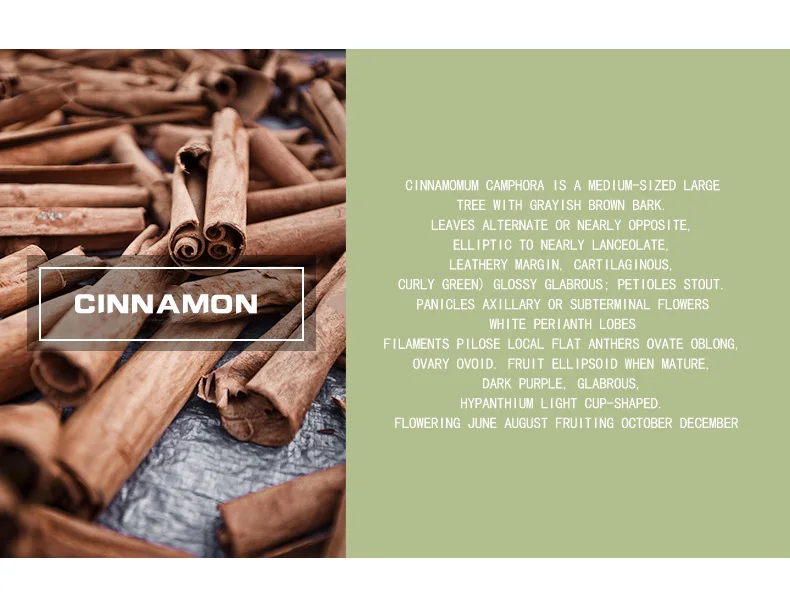 Manufacturer Natural Cinnamon Bark Spice Oil Cinnamon Essential Oils