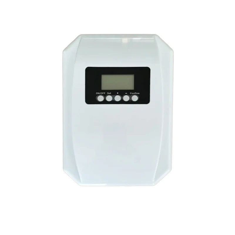 Customized Wholesale 500mg/hr Small Ozone Machinery for Cleaning Fruits And Vegetable