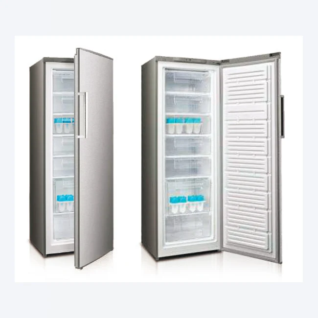 BD-225 Upright freezer 170cm