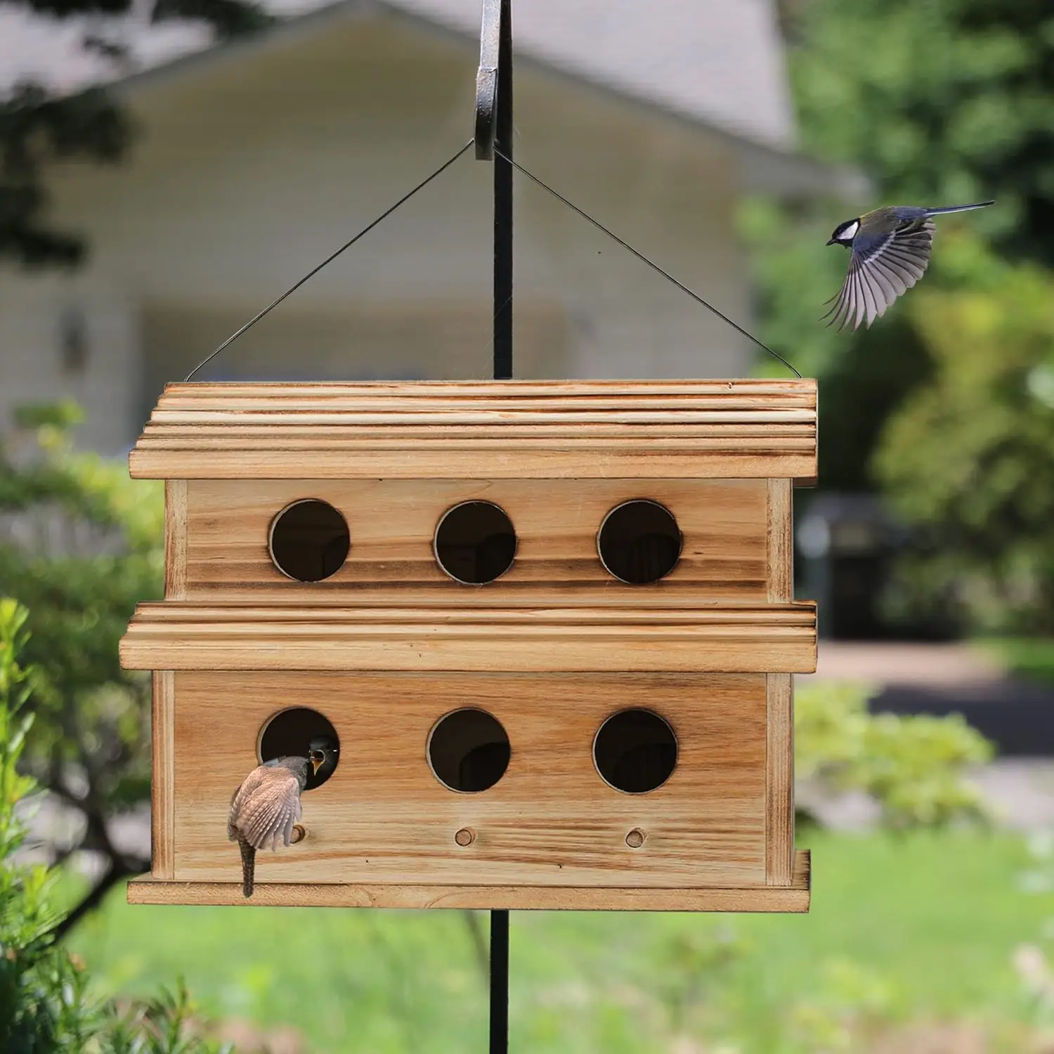 Outdoor aviary, 6-Hole Outdoor aviary - Rooms suitable for 6 bird families - Bluebirds, finches, Cardinals hanging aviaries
