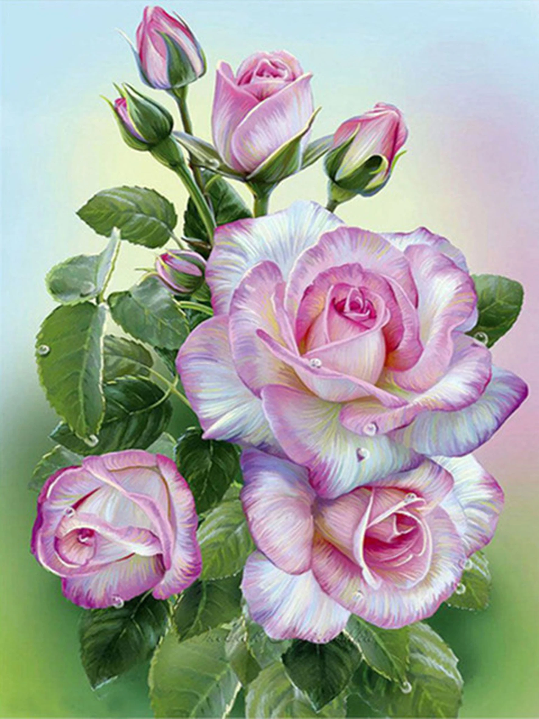 BT22213  30X40CM.jpg