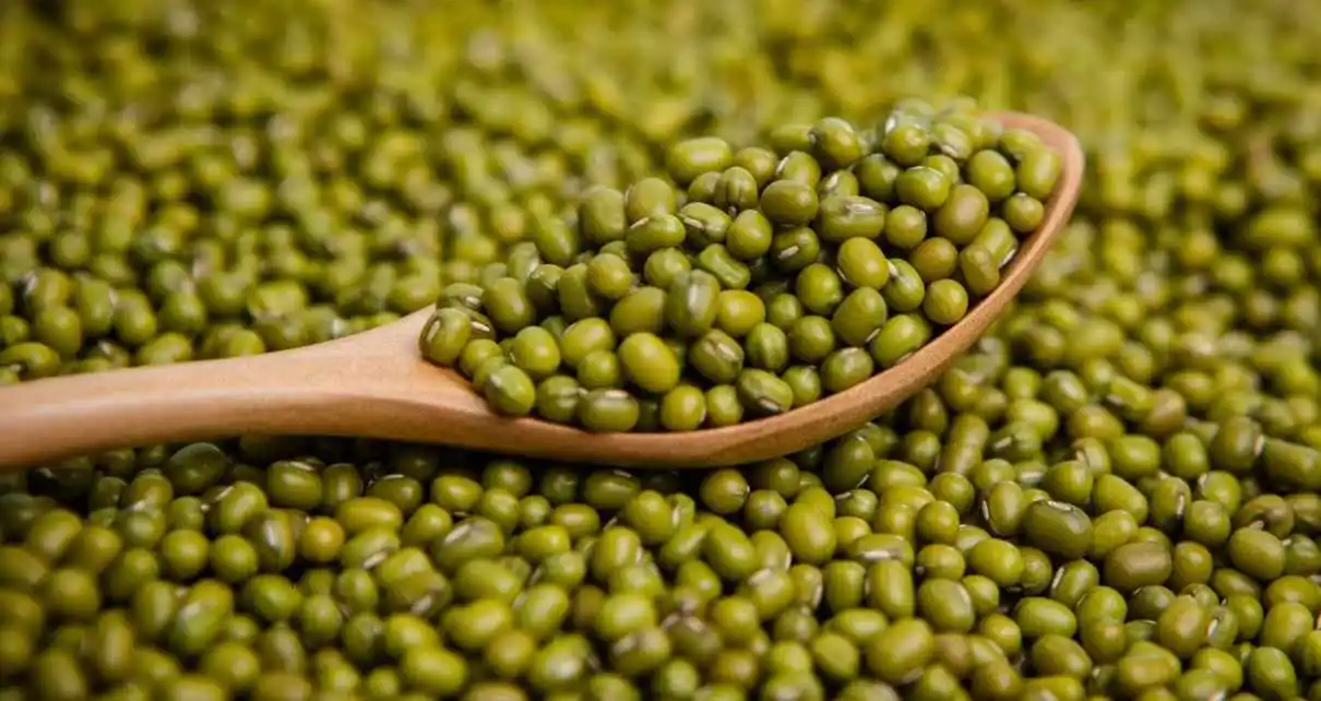 Natural mung bean peptide/mung beans powder extract/mung bean protein peptide for reducing blood pressure