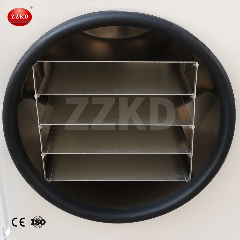 Mini Commercial Food and Vegetables Freeze Vacuum Drying/Dryer Machine