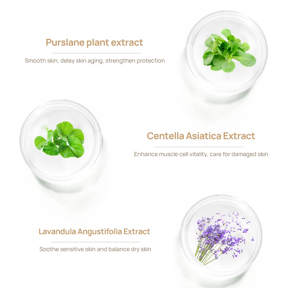 LANBENA Private Label Scar Removal Serum Stretch Mark Oil Acne Mark Repair Skin Care