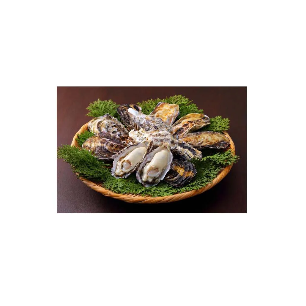 
Least wholesale selling prices oyster product for sale with good price 