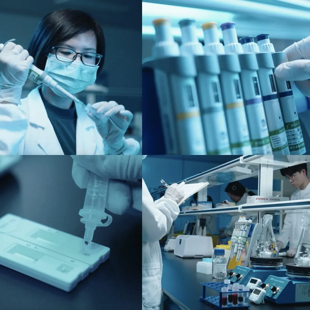 Лидер продаж быстрый тест на антитела Bab Babesia Gibsoni ветеринарный анализ крови по заводской цене