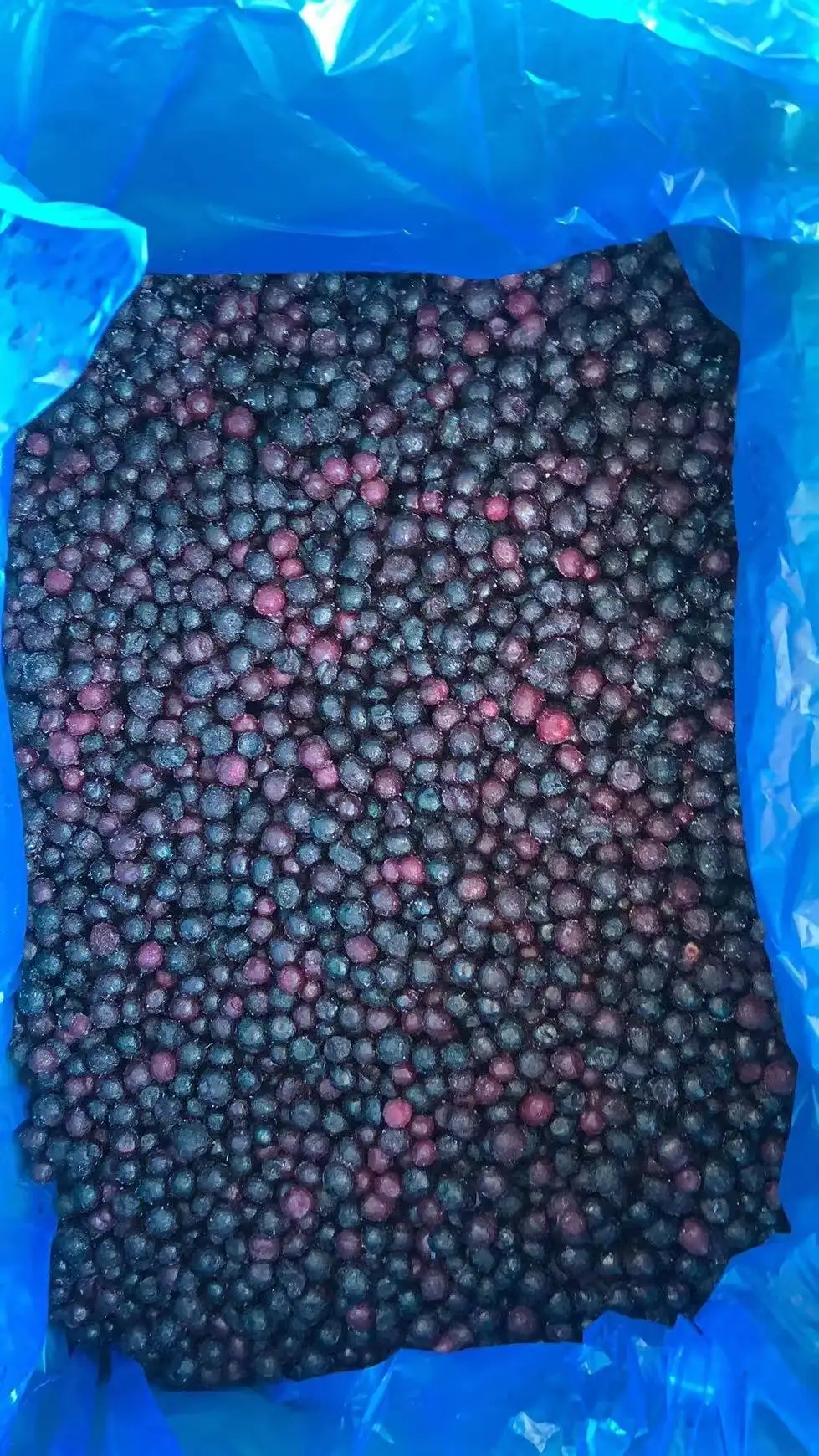 
frozen wild blueberry IQF wild blueberries 