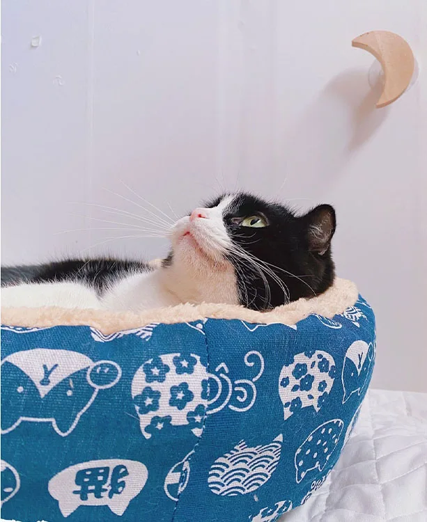 Good Supplier House Dog Hammock Pet Supplies Wholesale customized good quality breathable pet dog bed luxury