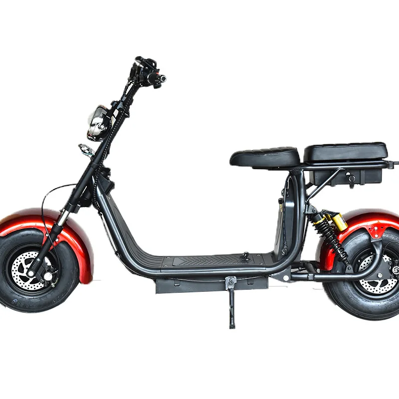 Citycoco in Holland 1500w citycoco electric fat bike electric motorcycle adults