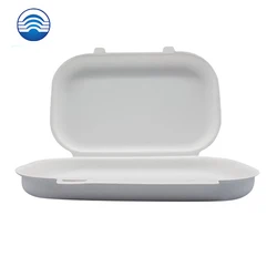 Small order 16 years factory custom white packing  model paper pulp box tray lid