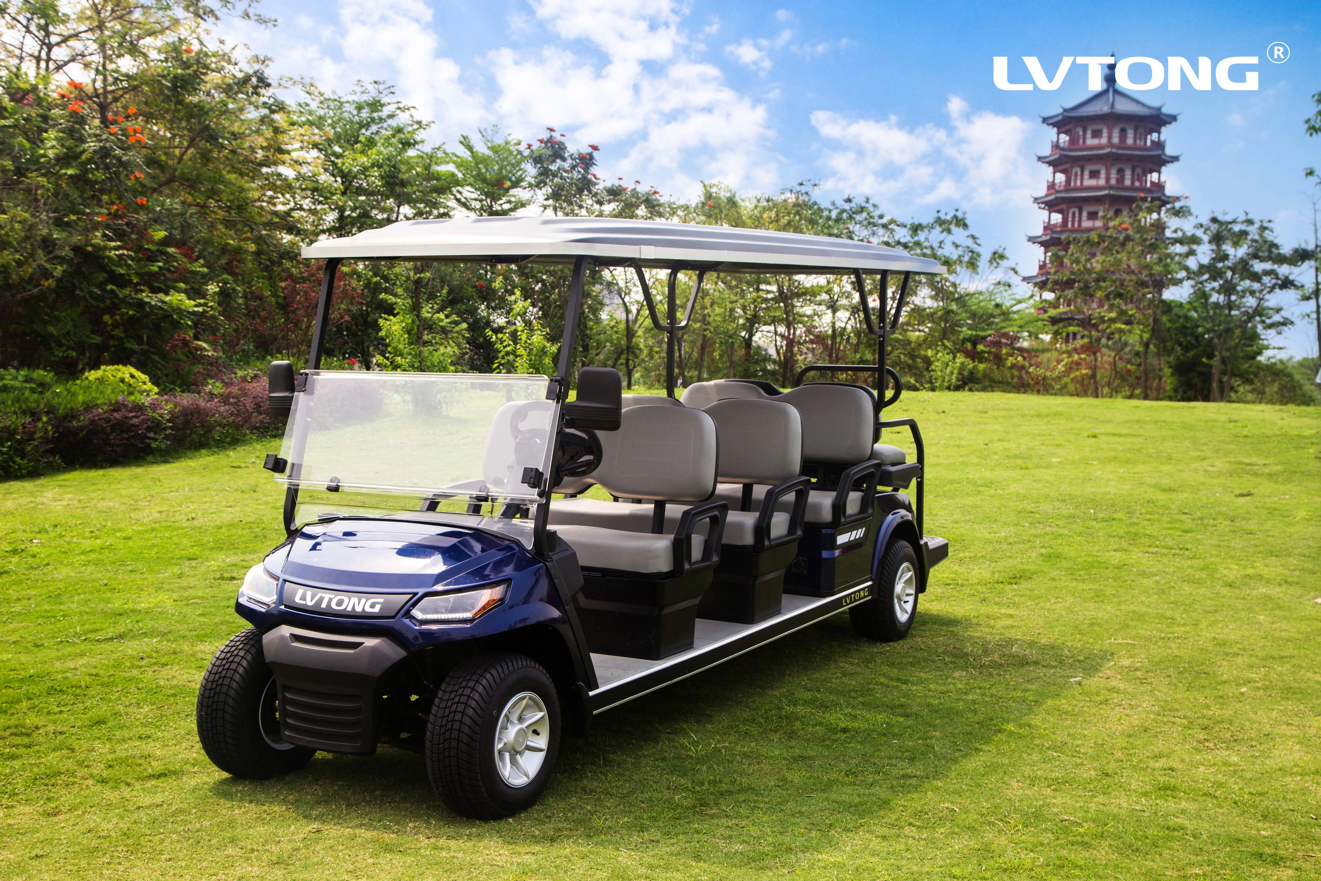 Stand Up Street Legal Zone Electric Utility Cart Golf Cart Car Golfcart Electric From China