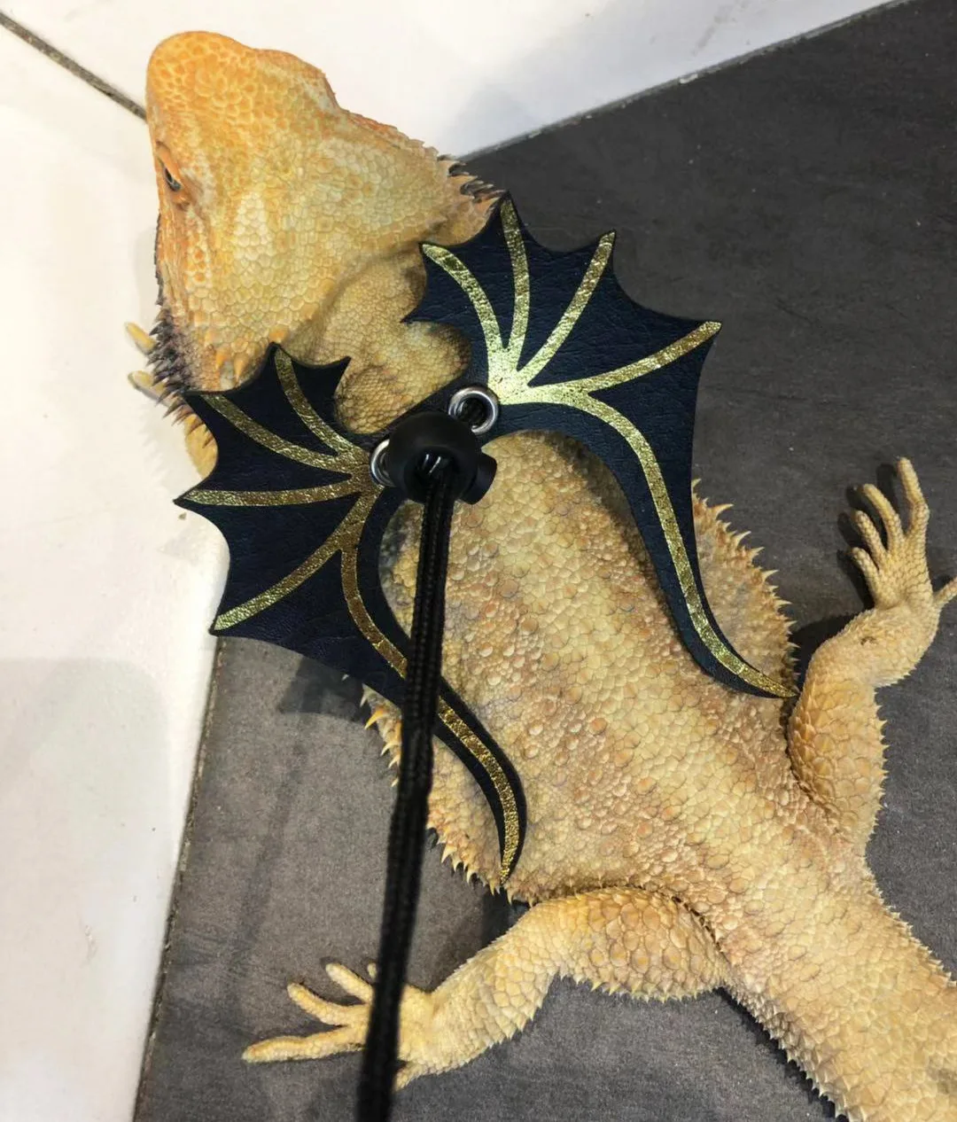 3 Size one Set Lizard Traction Rope Crawling Pet Go Out Traction Belt Walking Lizard Rope Small Pet Traction Rope