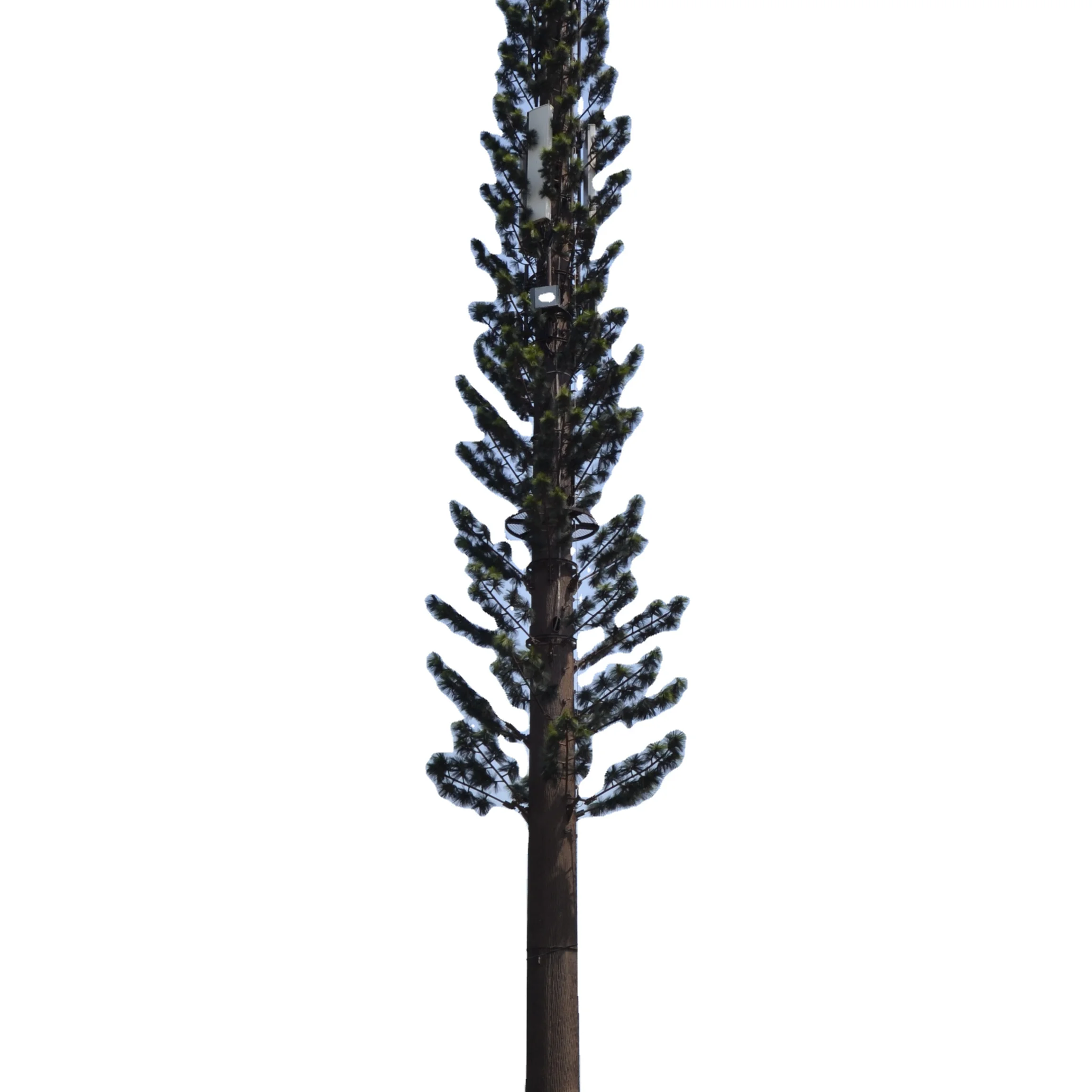 Telecommunication Camouflage  Pine tree steel tower