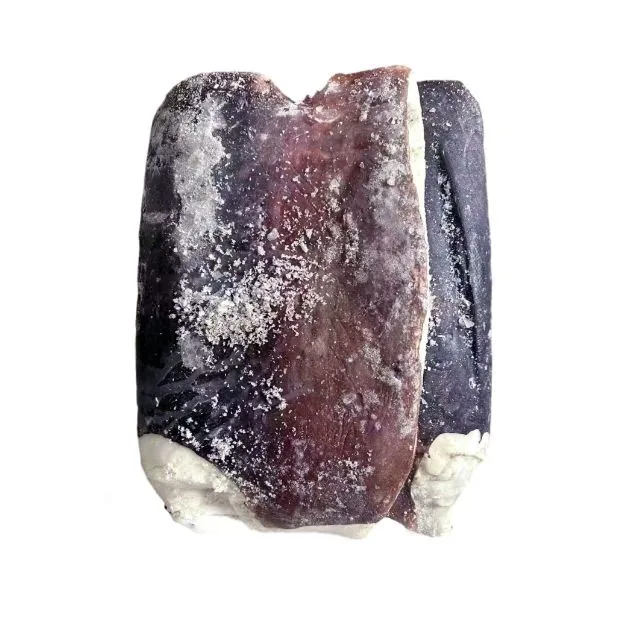Frozen Seafood Giant squid fillet with best price