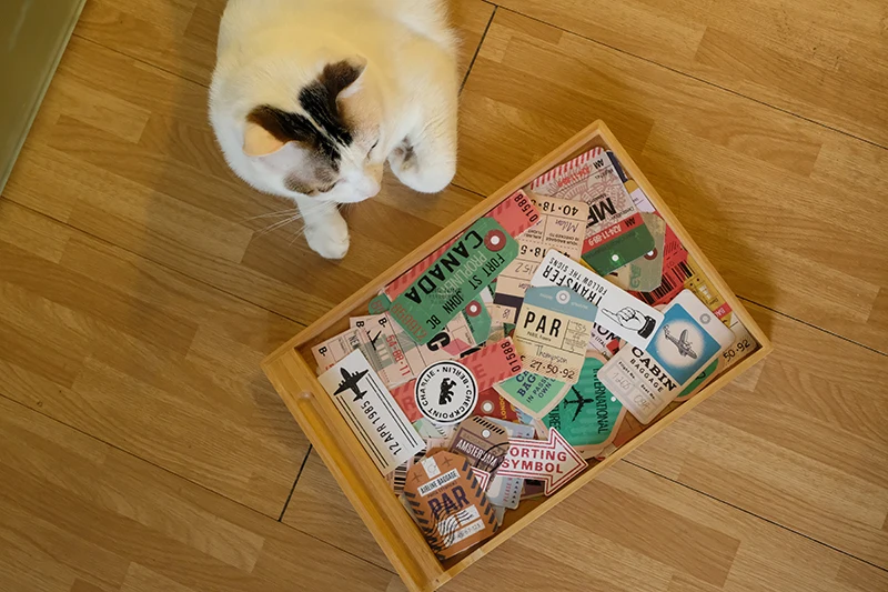 Nekoni Luggage Stickers Aesthetic Original Stickers Trunk Suitcase Decorative Self Adhesive Decals for Waterproof Stickers