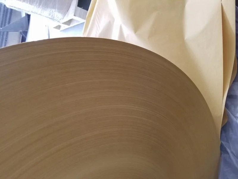 Mango growing paper bag Fruit protection wrapping