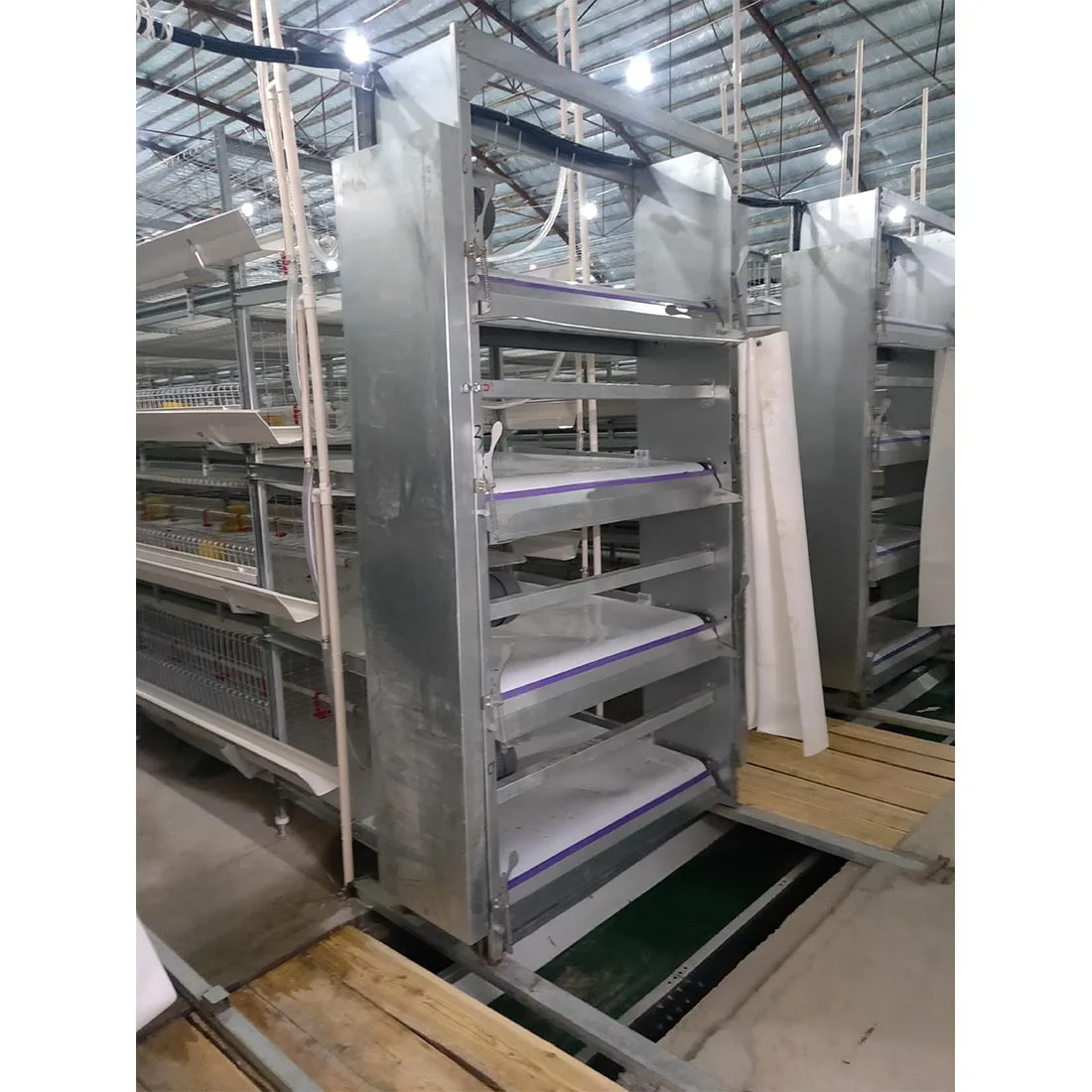 Design Modern Environment Control Shed Poultry Farm System Commercial Chicken Farm Business Plan