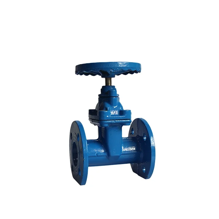 Rising Stem Stainless Steel Gate Valve DN150 COVNA ANSI Class 150, Metal Seat