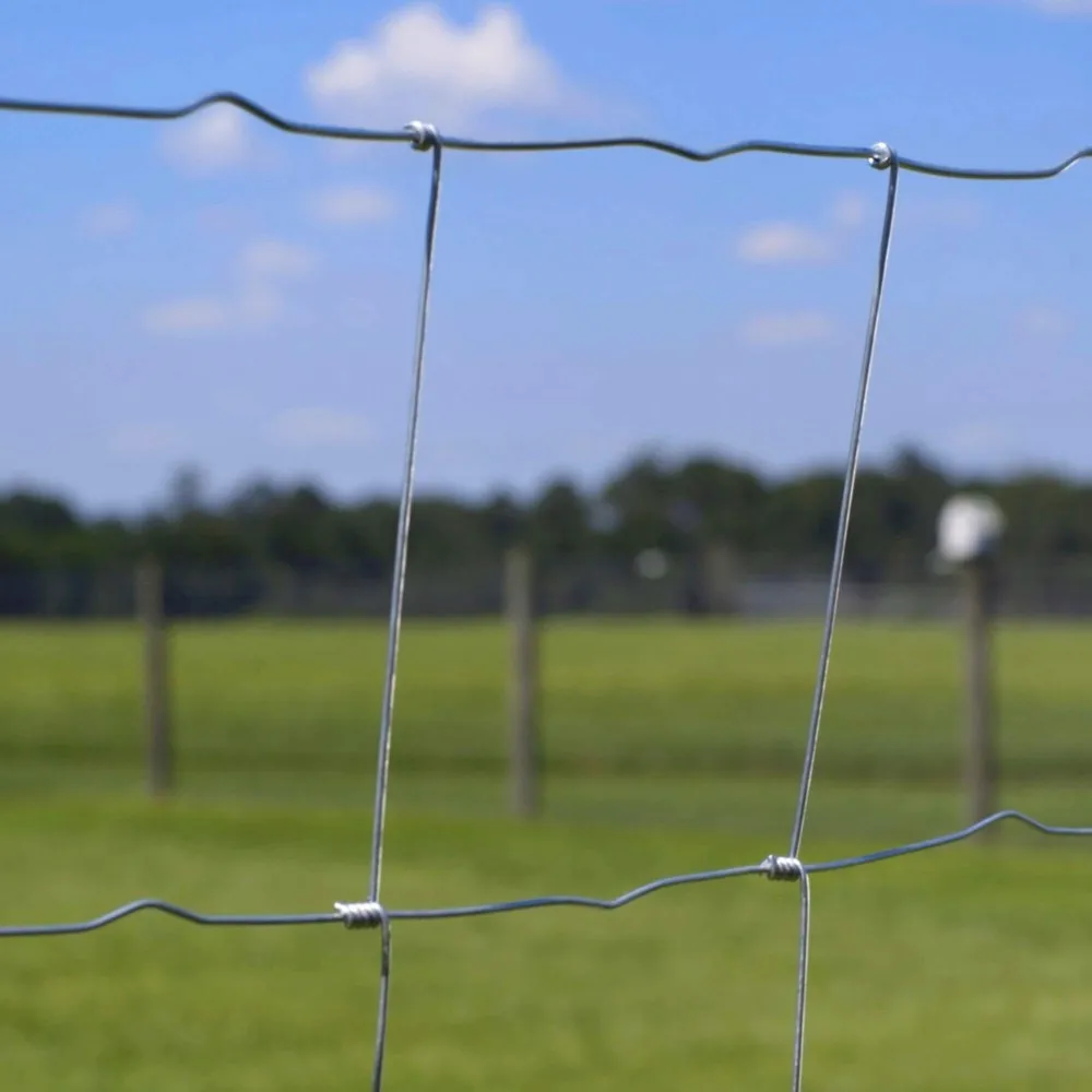 Heavy-Duty Galvanized Metal Fixed Knot Woven Fencing Wire Hog Wire Farm Field Fence for Livestock Metal Mesh Fencing Wire