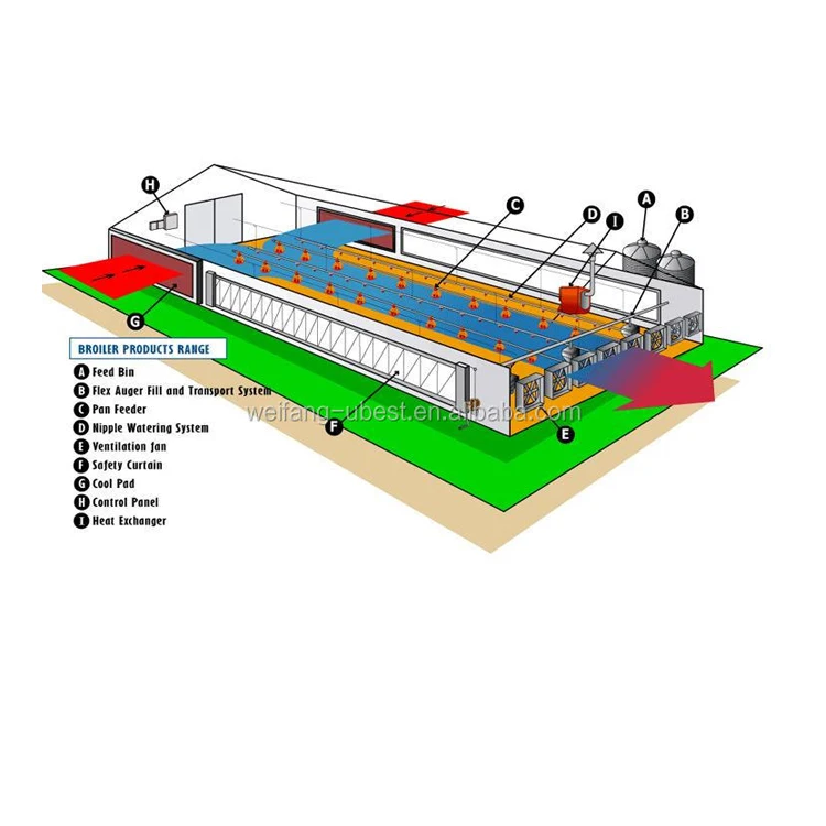 Advanced Design Complete Broiler Chicken House Poultry Farm Machine