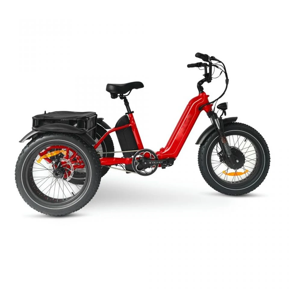 Hot sale Electric tricycle 48v 250w 500w 750w 1000W adult fashion three wheel cargo Electric bike no battery electric tricycle